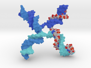 DNA - Holliday Junction in Full Color Sandstone