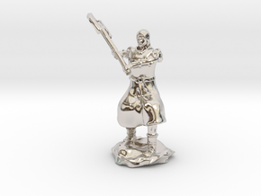 Human Fighter Noblewoman with Greataxe & Chainmail in Platinum