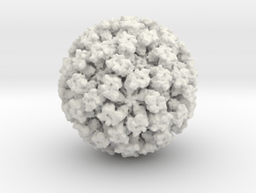 Feline Calicivirus radial colour 4M x mag in White Natural Versatile Plastic