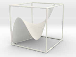 A 3d graph of cubic functions (with some curves) in White Natural Versatile Plastic: Medium