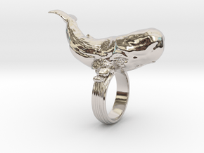 Sperm whale Ring  in Rhodium Plated Brass