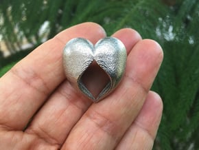Heartful in Polished Nickel Steel