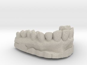 Anatomical Lower Teeth in Natural Sandstone