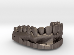 Anatomical Lower Teeth in Polished Bronzed Silver Steel