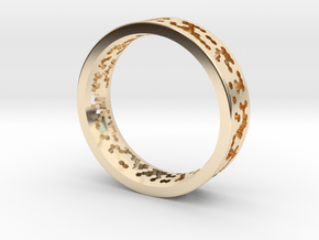 Math Ring v8 in 14k Gold Plated Brass