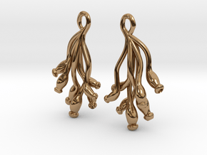 Ascilla Sponge earrings in Polished Brass