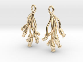 Ascilla Sponge earrings in 14k Gold Plated Brass
