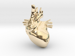 Anatomical Heart Hanger Pendant in 14K Yellow Gold