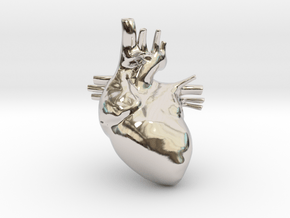 Anatomical Heart Hanger Pendant in Rhodium Plated Brass
