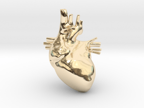Anatomical Heart Hanger Pendant in 14k Gold Plated Brass