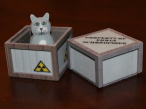 Schrödinger's Cat and Box in Full Color Sandstone