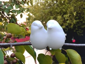 #BFF - Birdly feathered Friends in White Natural Versatile Plastic
