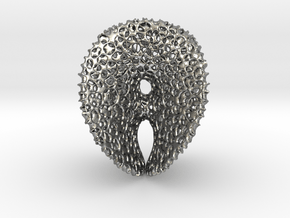 Chen-GackstatterMinimal Surface with Voronoi Cells in Natural Silver
