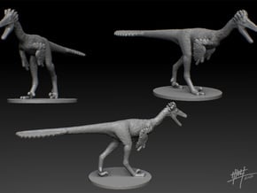 Troodon 1/72 in Smooth Fine Detail Plastic