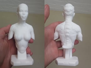 Female Bust Print 001 in White Processed Versatile Plastic