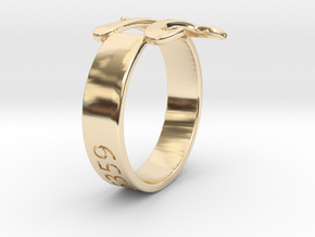 PI Ring Size8 in 14K Yellow Gold