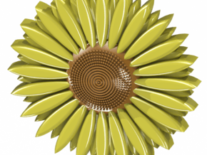 sunflower in White Natural Versatile Plastic