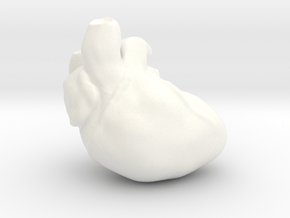 Human Heart in White Processed Versatile Plastic