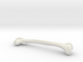 Femur bone pendant in White Natural Versatile Plastic