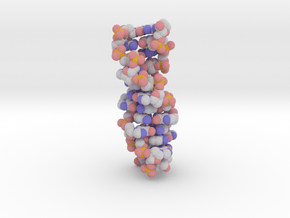 Z-DNA in Full Color Sandstone