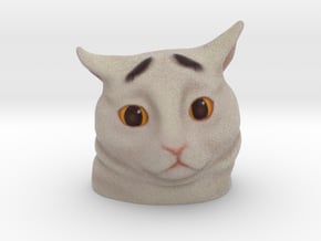 Eyebrow Cat in Full Color Sandstone