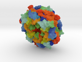 Ebola virus matrix protein in Full Color Sandstone