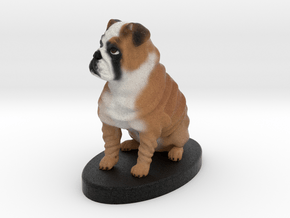 Custom Dog Figurine - Bandit in Full Color Sandstone