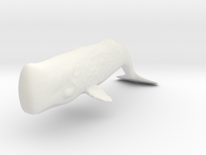 Print BigWhale in White Natural Versatile Plastic