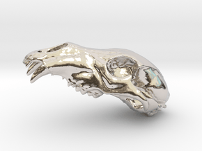 Bear Skull. WT-1. 6cm in Rhodium Plated Brass