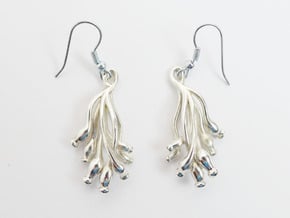 Ascilla Sponge earrings in Polished Silver