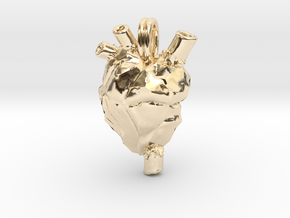 Anatomical Heart Jewelry Necklace  in 14k Gold Plated Brass