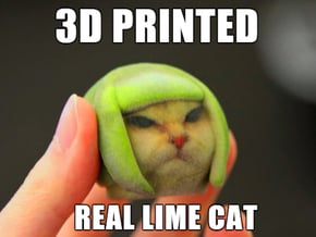 Lime Cat internet meme in Full Color Sandstone