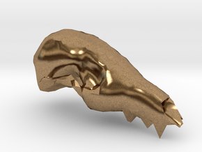Fox Skull 3D Scan in Natural Brass