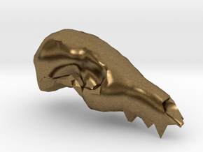 Fox Skull 3D Scan in Natural Bronze