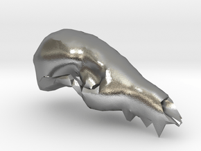 Fox Skull 3D Scan in Natural Silver