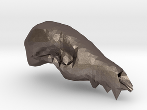 Fox Skull 3D Scan in Polished Bronzed Silver Steel