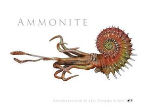 Ammonite 8cm in Tan Fine Detail Plastic