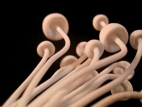 Mushroom Ear Cuff in White Processed Versatile Plastic