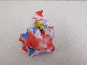 Phytochrome B in Full Color Sandstone
