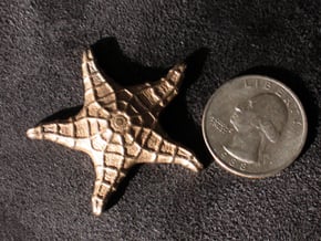 Starfish in Polished Bronzed Silver Steel
