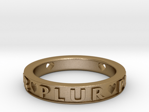 Plur Ring - Size 7 in Polished Gold Steel