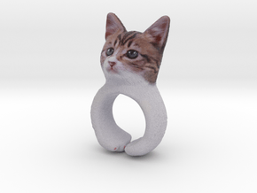 Cat Ring in Full Color Sandstone