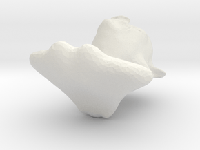 4002 in White Natural Versatile Plastic