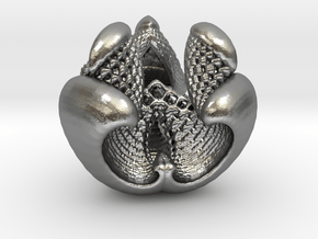  Fractal Pendant - Libidinis Hexagonis Aerariu in Natural Silver