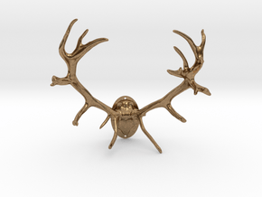Red Deer Antler Mount 40mm in Natural Brass