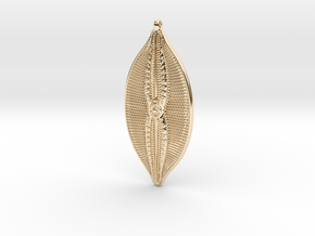 Navicula bullata Pendant ~ 46mm tall (1.8 inches) in 14k Gold Plated Brass