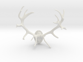 Red Deer Antler Mount - 50mm in White Natural Versatile Plastic