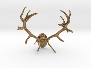 Red Deer Antler Mount - 50mm in Natural Brass