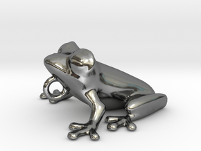 Frog Pendant in Fine Detail Polished Silver