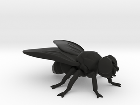 Fly  in Black Natural Versatile Plastic